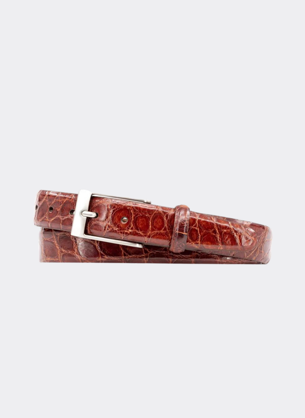 Martin Dingman Jefferson 2 Buckle Authentic Alligator Belt In Chestnut